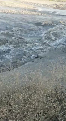 Sante Plus Hastanesi Videolar görseli