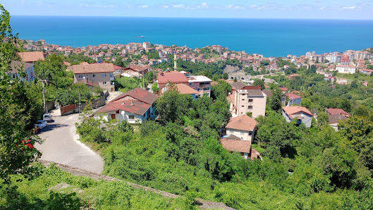 Zonguldak Kadın Doğum Ve Çocuk Hastalıkları Hastanesi