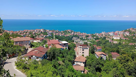 Zonguldak Kadın Doğum Ve Çocuk Hastalıkları Hastanesi Bina görseli