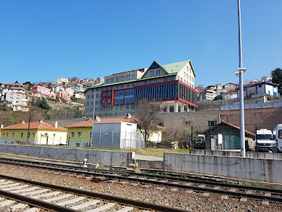 Zonguldak Şehit Prof. Dr.İlhan Varank Kız Anadolu İmam Hatip Lisesi Tümü görseli