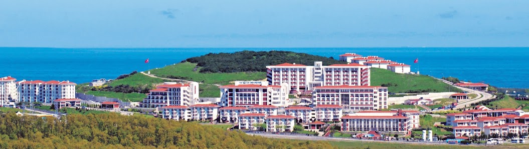 FMV Işık Üniversitesi Tümü görseli