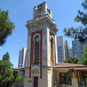 SBÜ Şişli Hamidiye Etfal Eğitim ve Araştırma Hastanesi Tümü görseli