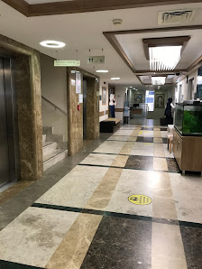Özel Dora Hospital Hastanesi Lobi görseli