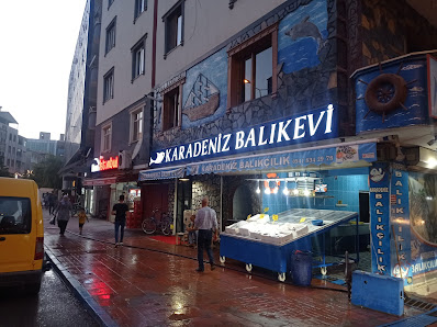 IĞDIR KARADENİZ BALIKÇILIK Tümü görseli
