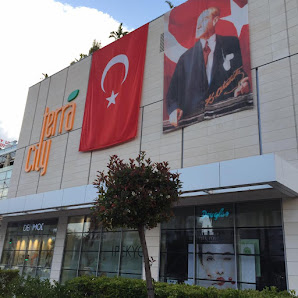 TerraCity Sahibinin seçtikleri görseli