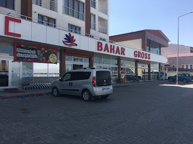 Bahar Gross (AVM)