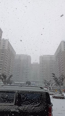 Kameroğlu Metrohome Cadde Avm Videolar görseli