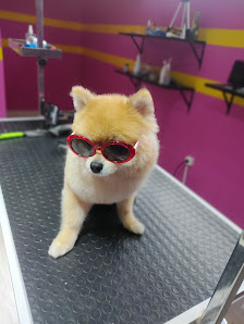 BEYLİKDÜZÜ PET KUAFÖR AVM İç görseli