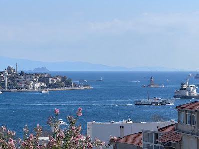 Alışveriş Merkezi