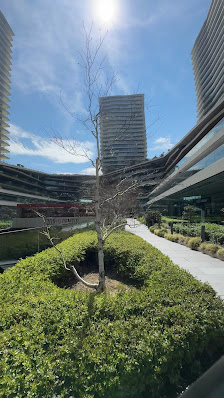 Zorlu Center En son görseli