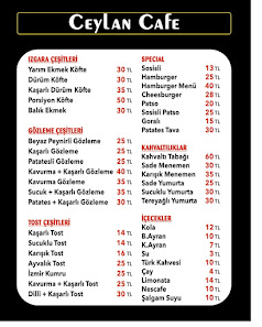 Ceylan Cafe Sahibinin seçtikleri görseli