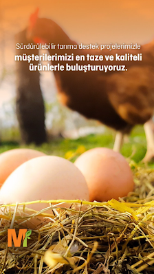 M Migros Sahibinin seçtikleri görseli