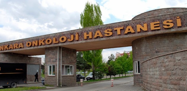 Dr. Abdurrahman Yurtaslan Ankara Onkoloji Eğitim ve Araştırma Hastanesi Sahibinin seçtikleri görseli