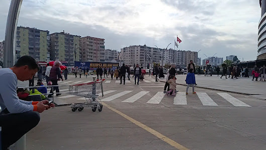 Paribu Cineverse Diyarbakır Ceylan Videolar görseli