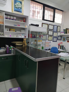 Cat Hospital Kedi Hastanesi Bina görseli