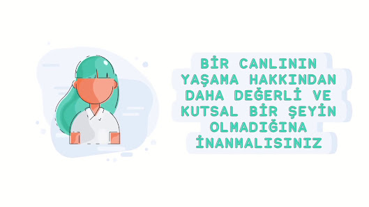 Cat Hospital Kedi Hastanesi Videolar görseli