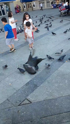 Aykutoğlu Avm Videolar görseli