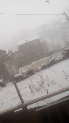 Rüya Plaza Videolar görseli