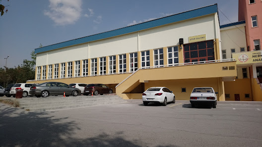 Nermin & Mehmet Çekiç Anadolu Lisesi Bina görseli