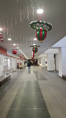 Avenue Bodrum Videolar görseli