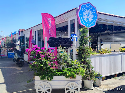 Pendik Marina Tümü görseli