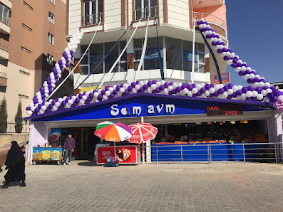 Sam avm