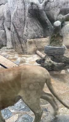 Aslan Park Tuzla En son görseli