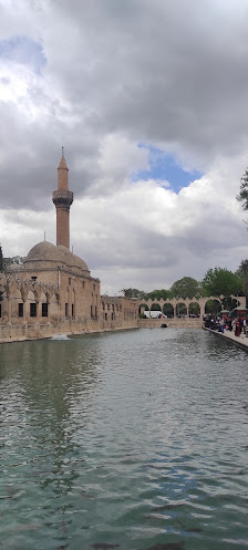 Piazza Şanlıurfa En son görseli