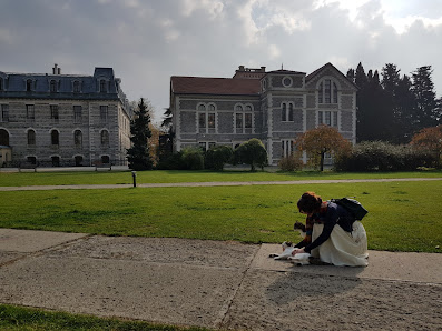 Birinci Erkek Yurdu Tümü görseli