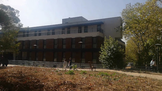 Boğaziçi Üniversitesi Kandilli Öğrenci Yurdu Videolar görseli