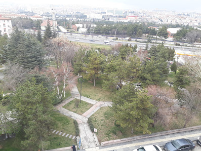 TDV Ankara Altındağ Yükseköğretim Kız Öğrenci Yurdu Dıştan görünüm görseli