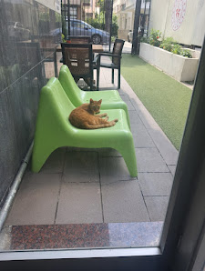 İlke Yüksek Öğrenim Kız Öğrenci Yurdu Ziyaretçilerden görseli