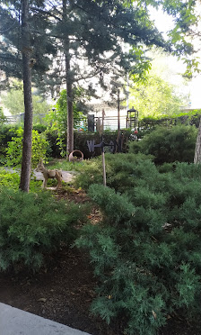 İdeal Yurtları 13. Şube Ankara Kız Öğrenci Yurdu Ziyaretçilerden görseli