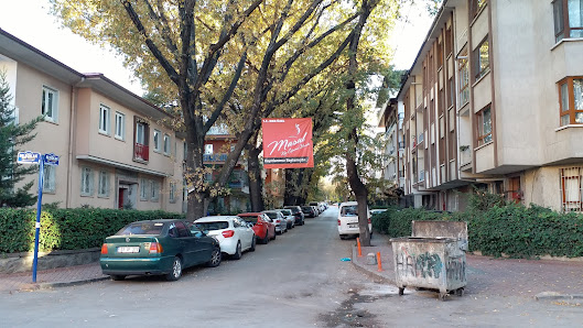 Masal Yurt Ziyaretçilerden görseli