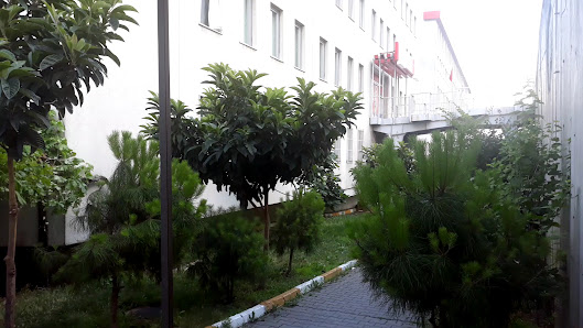 KYK Florya Beşyol Kız Öğrenci Yurdu Videolar görseli