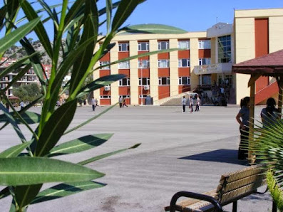 Dr. İlhami Tankut Anadolu Lisesi Sahibinin seçtikleri görseli