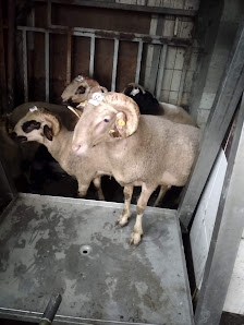 Rıdvan Burak Kaymakçı Erkek Öğrenci Yurdu Ziyaretçilerden görseli