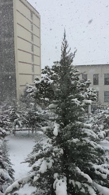 Ezogelin Erkek Öğrenci Yurdu Videolar görseli
