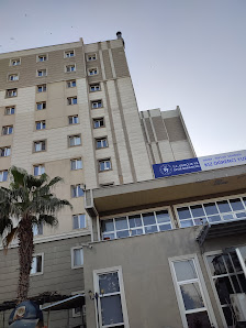 Kyk Tayfur Sökmen Kız Yurdu