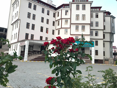 Süleymaniye Yüksek Öğrenim Erkek Öğrenci Yurdu Sahibinin seçtikleri görseli