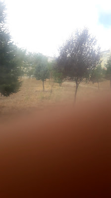 Kütahya Kyk Devlet Hatun Kız Öğrenci Yurdu Videolar görseli