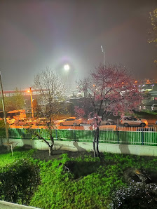 Yüksek Öğrenim Kredi Ve Yurtlar Kurumu Osmaniye Yurt Müdürlüğü Tümü görseli