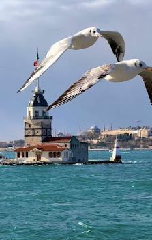 KIZ KULESİ KIZ ÖĞRENCİ YURDU Ziyaretçilerden görseli