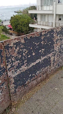Büyükada İlçe Halk Kütüphanesi Videolar görseli