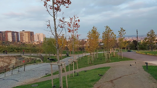 Pendik Millet Bahçesi Videolar görseli