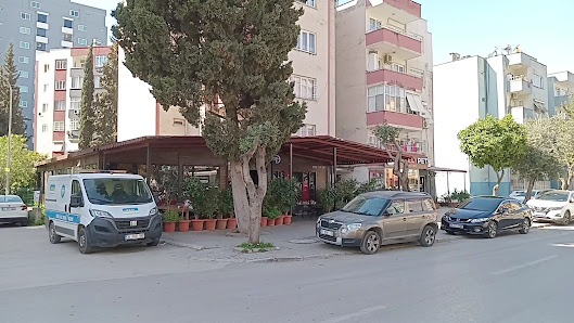 Nöbetçi Kütüphane Noyan Esen Şubesi Videolar görseli
