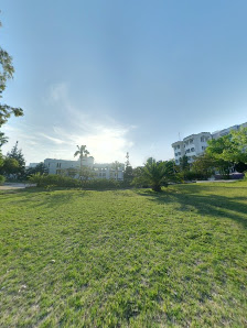 Çukurova Üniversitesi Kütüphanesi Street View ve 360° görseli