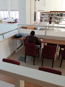 Gülhane Kütüphanesi Raf görseli