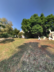 Akdeniz Üniversitesi Merkez Kütüphane Street View ve 360° görseli
