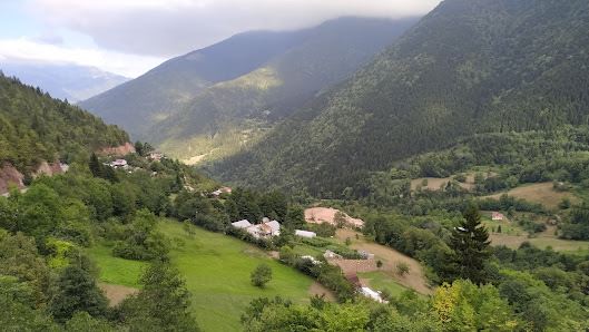 Artvin Kent Ormanı